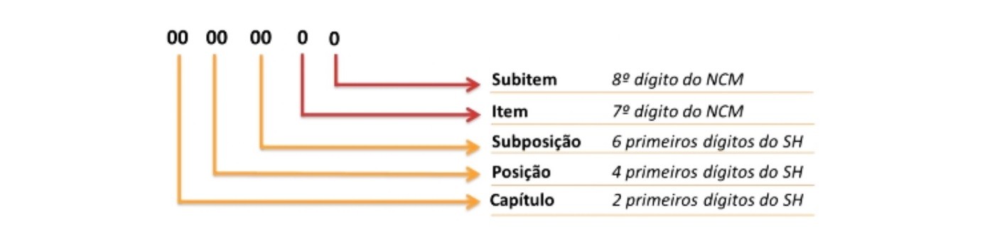 imagem1