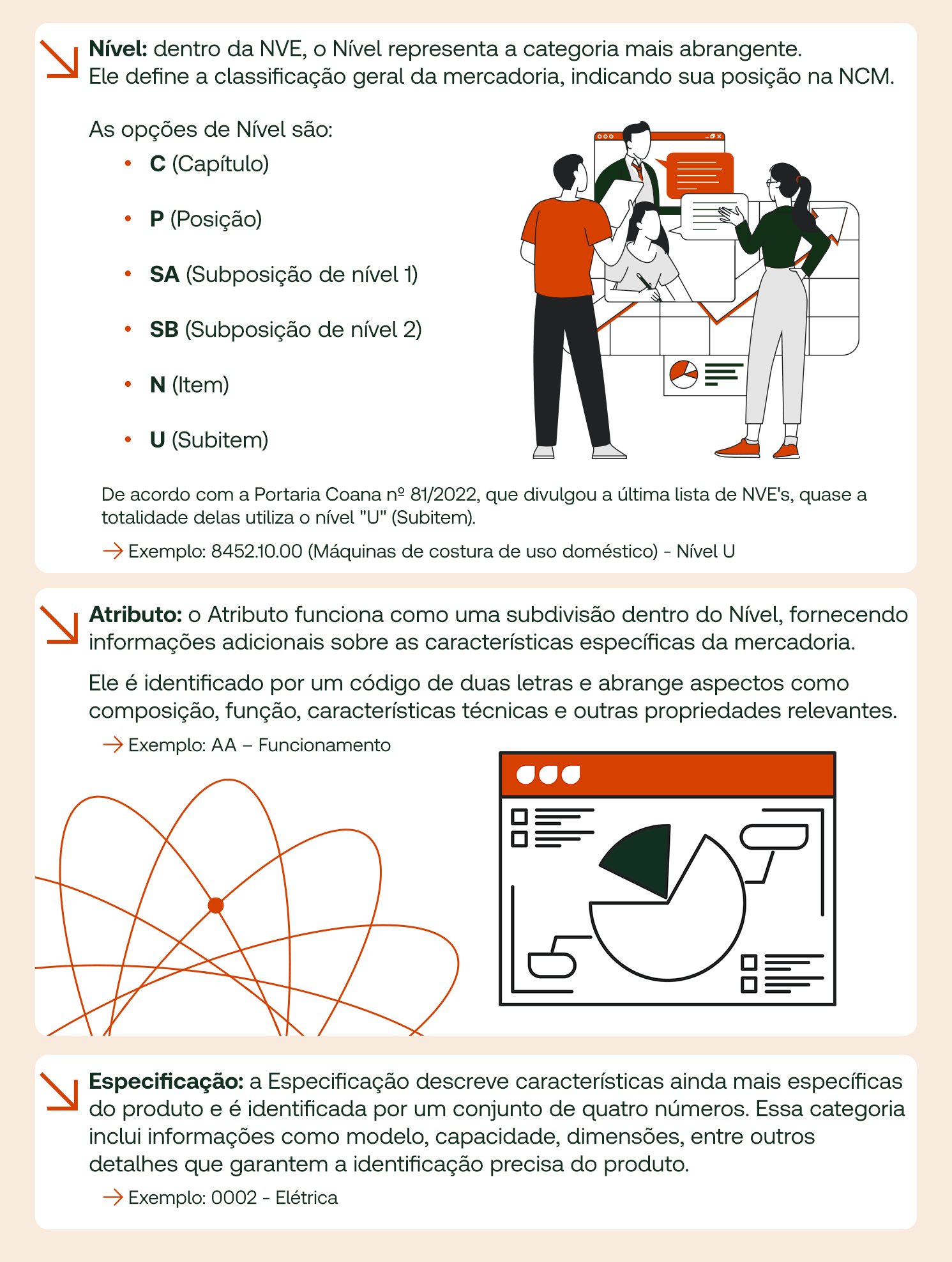 Nomenclatura de Valor Aduaneiro e Estatística (NVE): o que é e o que muda com o Novo Processo de Importação (NPI)