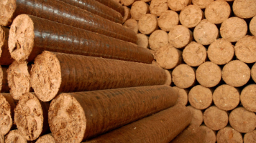 A view of logs made from the sawdust collected from the mills that cut Amazon trees.